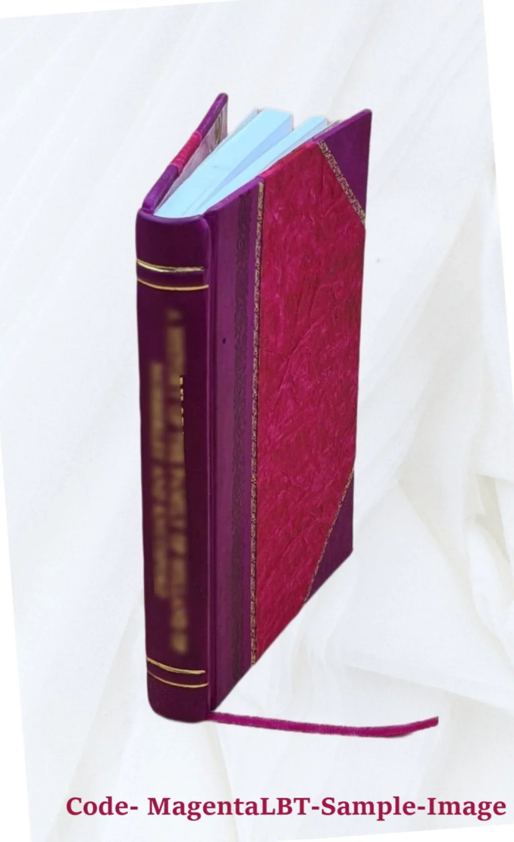 Felix Haase 1920 [Leather Bound]. Übersetzt und untersucht von Dr. Die koptischen Quellen zum Konzil von Nicäa