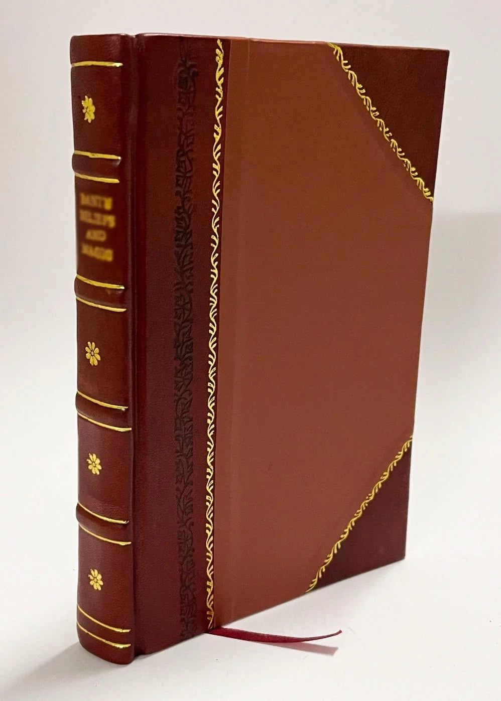De Quaestionibus / Marcantonio Bianchi (1545) (1545) [Leather Bound]. Finalem Ff. Tractatus De Judiciis Homicidii Ex Propositio Commissi Ad L